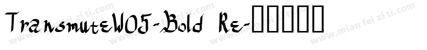 TransmuteW05-Bold Re字体转换